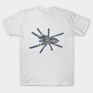 Poecilotheria metallica T-Shirt